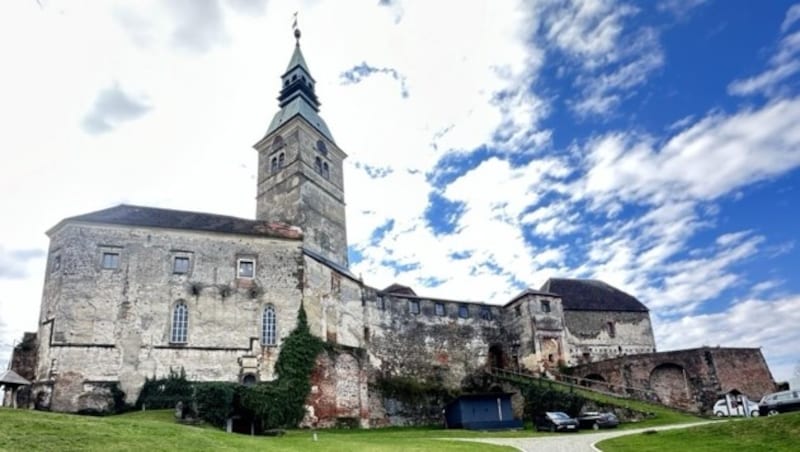 Die Burg Güssing im Südburgenland (Bild: Schulter Christian)