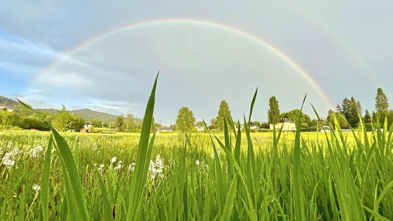 Der Regenbogen und das Buberlemoos. (Bild: Gabi Hadl)