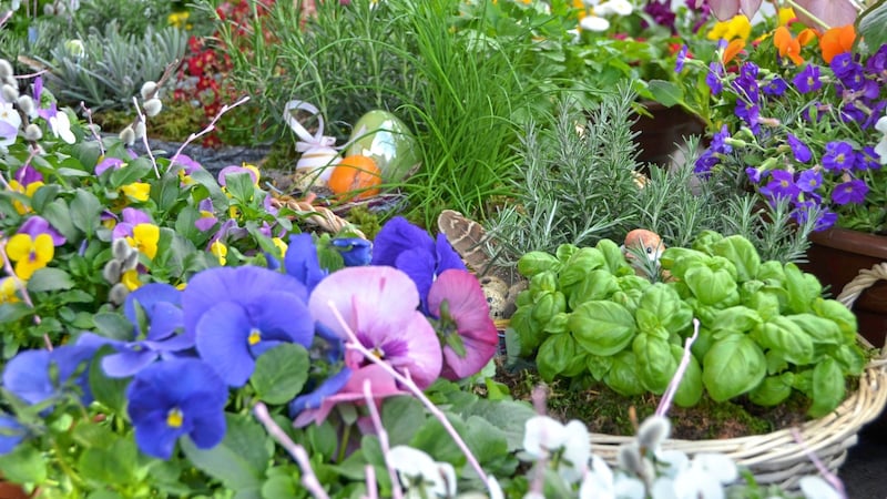 Der Frühling bietet ein buntes Bild  (Bild: Katrin Fister)