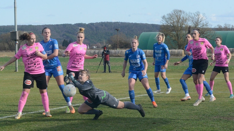 Mit dem 2:0 über die Carinthians Hornets beendete man die Hinrunde auf Platz zwei. (Bild: Pressefoto Weber)