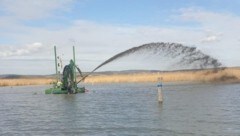 Sechs Tage lang wurde der Schlamm entfernt, damit Segler freie Fahrt haben. (Bild: Segelhafen Jois)