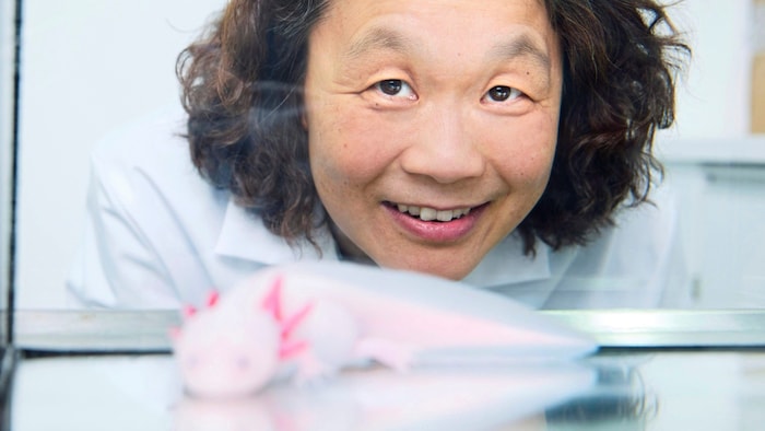 The head of the Institute of Molecular Biology at the Academy of Sciences, Elly Tanaka