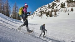 Zwischen Winter und Frühling kann man die Schneelandschaft auf der Tauplitzalm besonders schön genießen. Dafür können Schneeschuhe und Langlaufski kombiniert werden. (Bild: Weges)