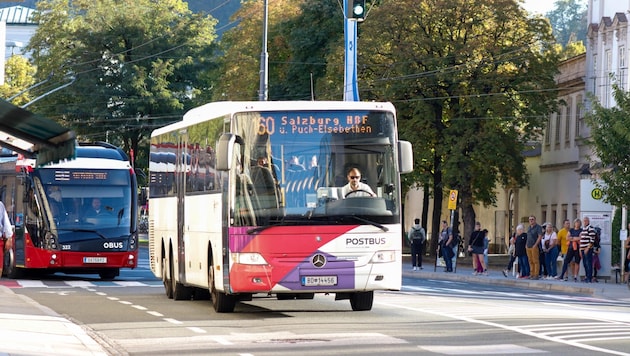 Für zwei Stunden legen die Buslenker ihre Arbeit nieder. (Bild: Scharinger Daniel)