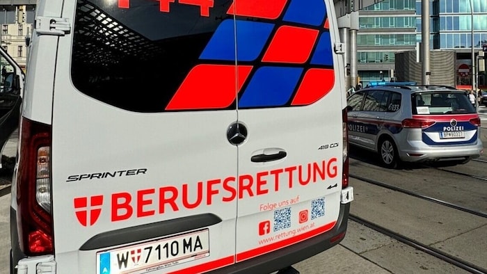 Die Berufsrettung Wien brachte den Lenker ins Spital.