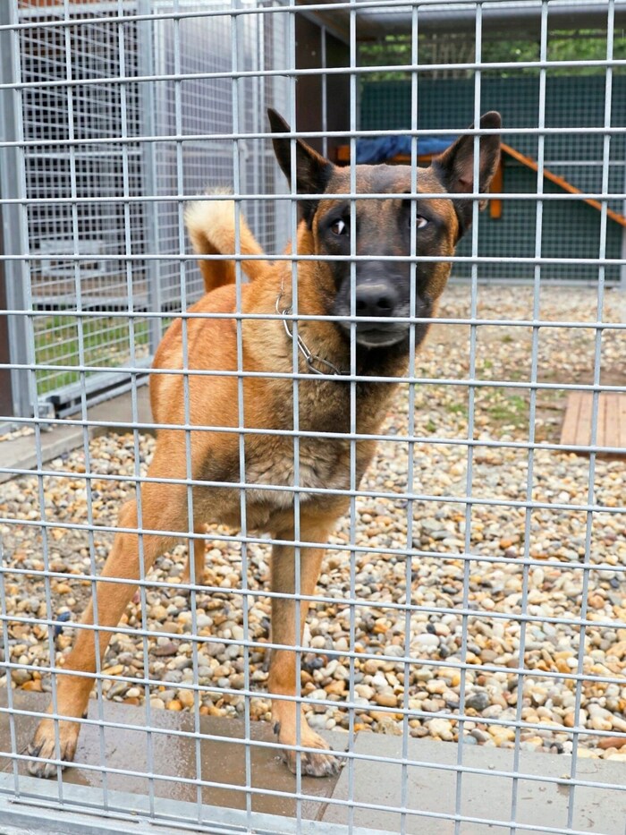 Für „Billy“ kommt jede Hilfe zu spät. Und doch hat sein Fall nun einiges ins Rollen gebracht. 