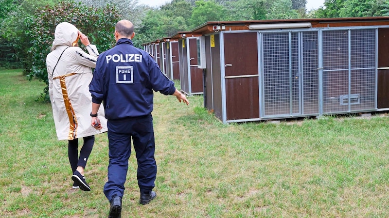 Beim Lokalaugenschein in der Zwingeranlage in Strebersdorf wurde alles Mögliche versprochen, doch passiert ist nichts.   (Bild: klemens groh)