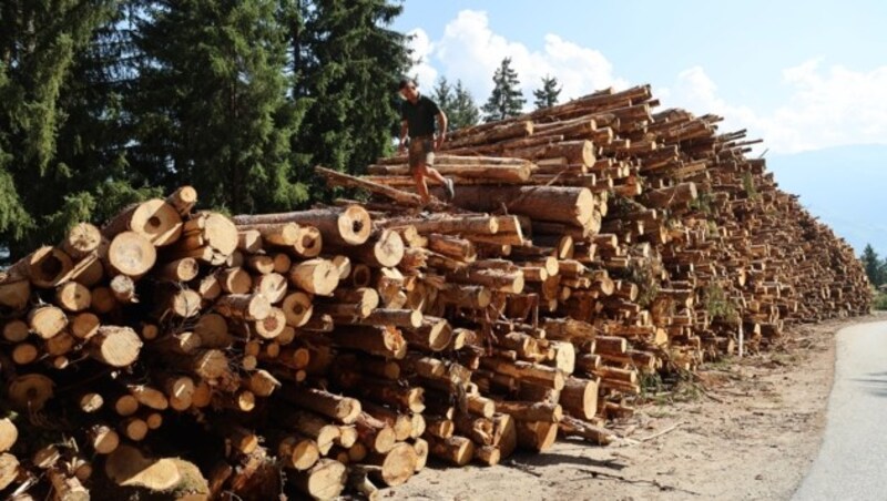 600.000 Festmeter Schadholz fielen in Tirol an. (Bild: Birbaumer Christof)