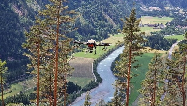A special agricultural drone scattered the seeds over the selected areas. (Bild: Land Tirol)