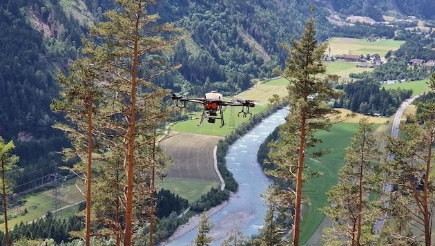Eine spezielle Agrardrohne verstreute das Saatgut über die ausgewählten Flächen. (Bild: Land Tirol)
