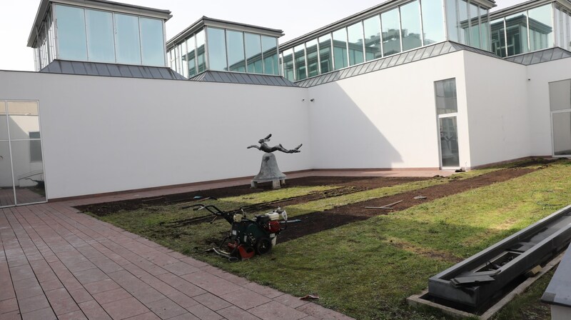 Auch Kunstwerke von Arnulf Rainer sind künftig in der Albertina Klosterneuburg zu bewundern (Bild: Jöchl Martin)