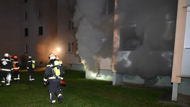 Firefighters in front of the affected block of flats (Bild: Stadt Wien | Feuerwehr )