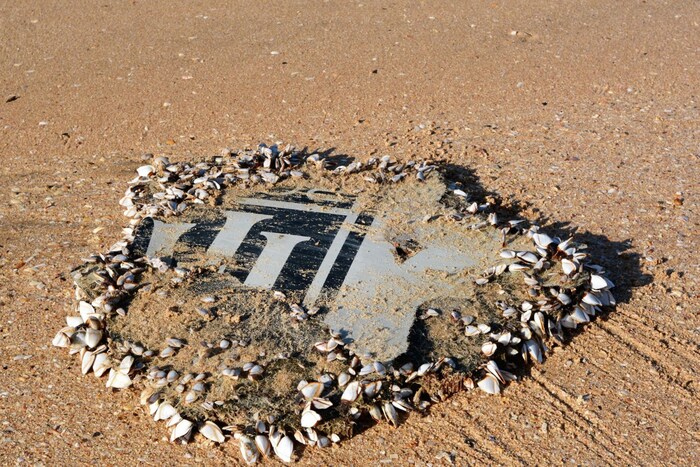 A piece of debris from MH370 that has washed ashore