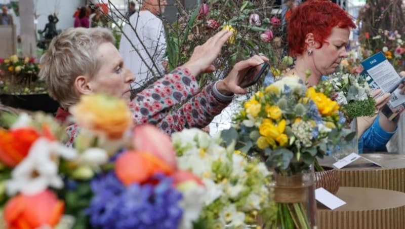 Floristinnen zeigen in Halle 7 ihr Können. Dort gab es neue Trends und Tipps für den Garten. (Bild: Tschepp Markus)