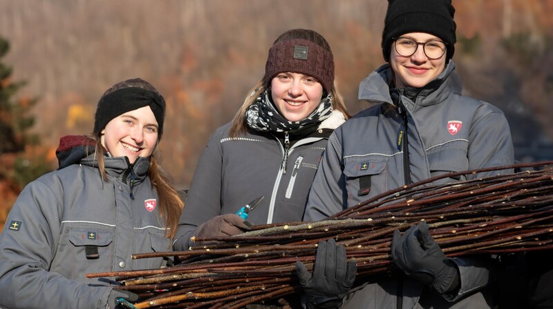 Die Hofreitschülerinnen bei der „Ernte“ im Wienerwald. (Bild: ÖBf-Archiv_F. Helmrich)