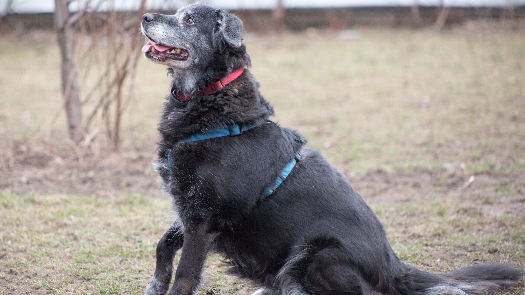 (Bild: Melanie Balter)