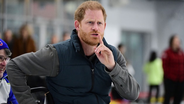 Prince Harry has been demoted on the Royal Family website and for Donald Trump he has become a campaign promise. (Bild: APA/AFP/Don MacKinnon)