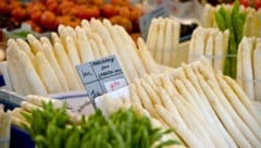 Ab Mitte April kann wieder österreichischer Spargel gekauft werden. (Bild: APA/BARBARA GINDL)