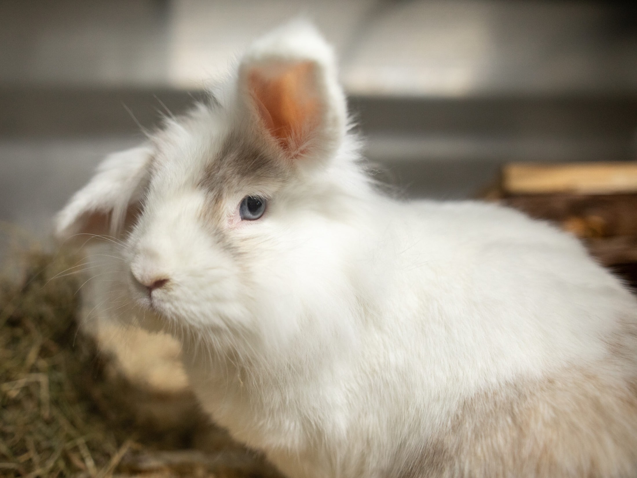 (Bild: Laura Berndl)