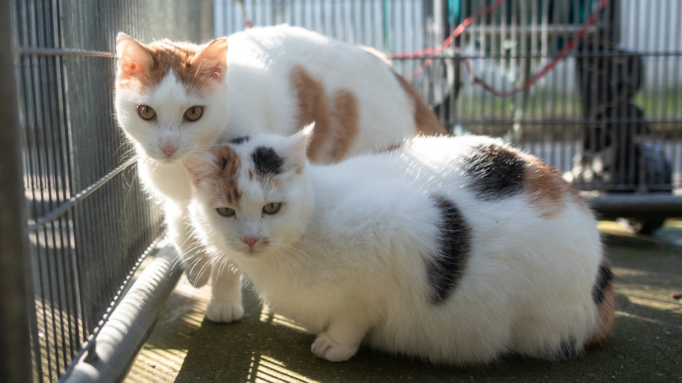 (Bild: Laura Berndl)