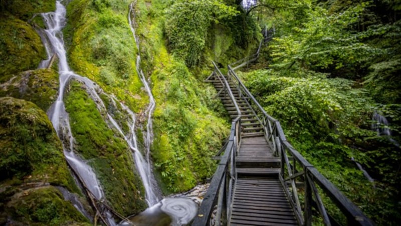 Naturpark Papuk (Bild: Julien Duval)