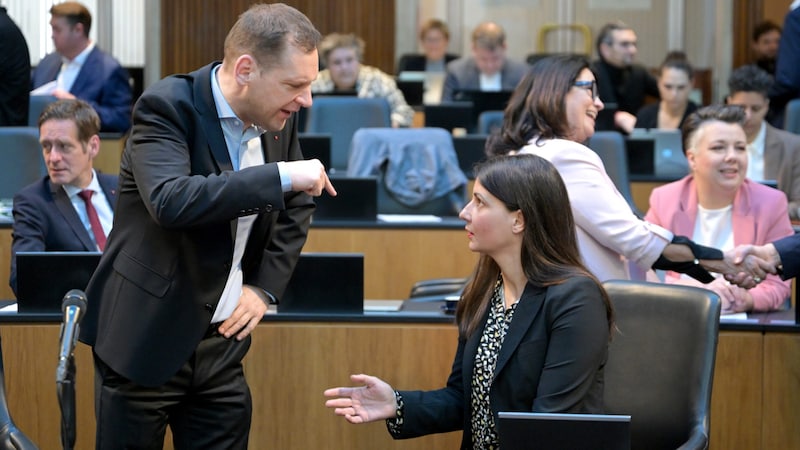 SPÖ-Klubchef Philip Kucher und Meri Disoski (Grüne) (Bild: APA/ROLAND SCHLAGER)