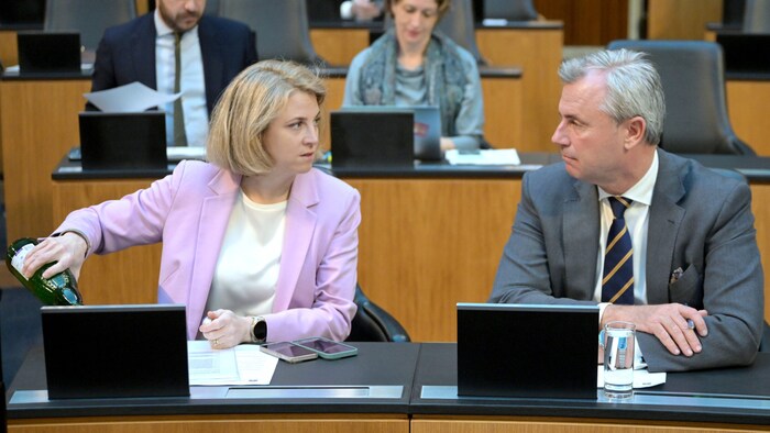 NEOS-Klubchefin Beate Meinl-Reisinger und Norbert Hofer (FPÖ)