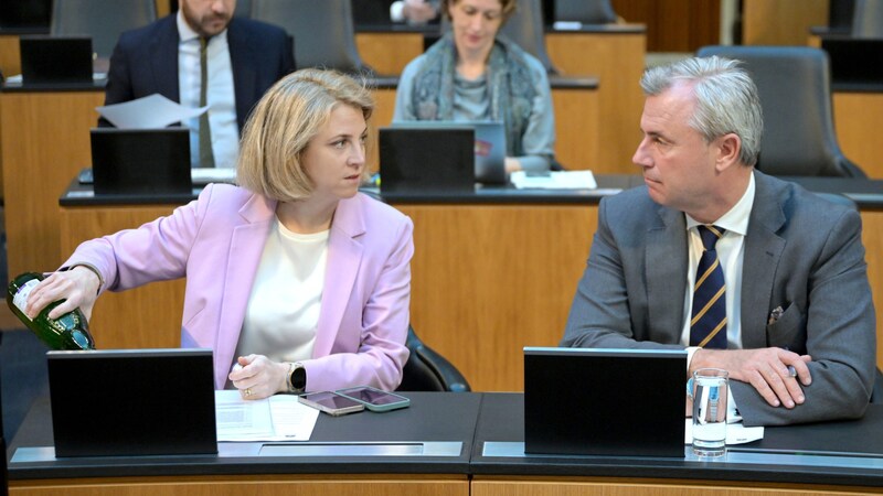 NEOS-Klubchefin Beate Meinl-Reisinger und Norbert Hofer (FPÖ) (Bild: APA/ROLAND SCHLAGER)