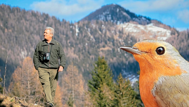 The "Bergkrone" accompanied Dietmar Streitmaier on his birding trip, where he also tested the new, smart Swarovski AX Visio binoculars, which recognize birds and animals. (Bild: Hannes Wallner)