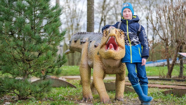 In 2020, dinosaur figures also moved into the Agrarium as an attraction. They are now being removed. (Bild: Horst Einöder/Flashpictures)
