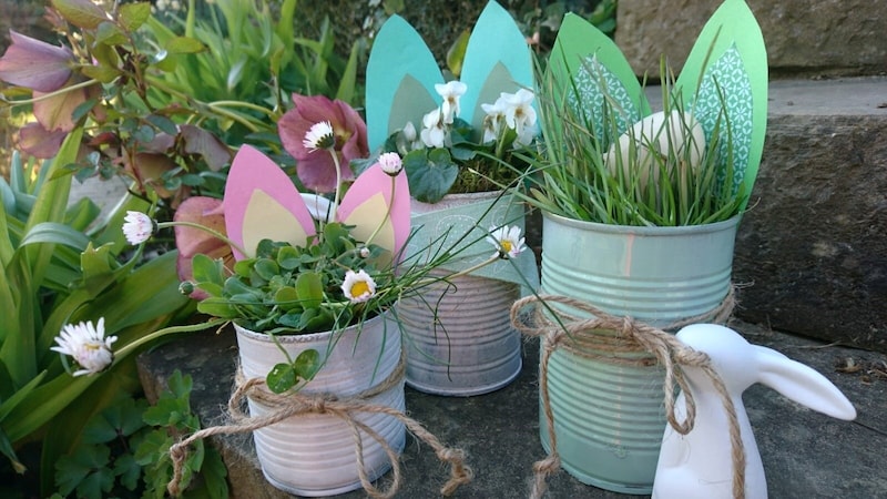 Leere Dosen verwandeln sich in Blumentöpfchen mit Osterhasen-Ohren. Darin gepflanzt darf alles werden, was so rund ums eigene Haus wächst. (Bild: Herzensgärtnerin)