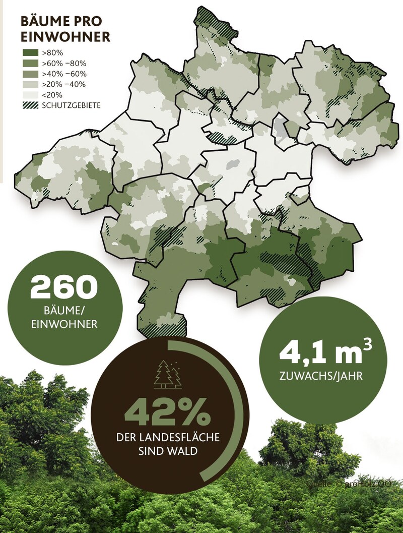 (Bild: Krone KREATIV, stock.adobe.com)