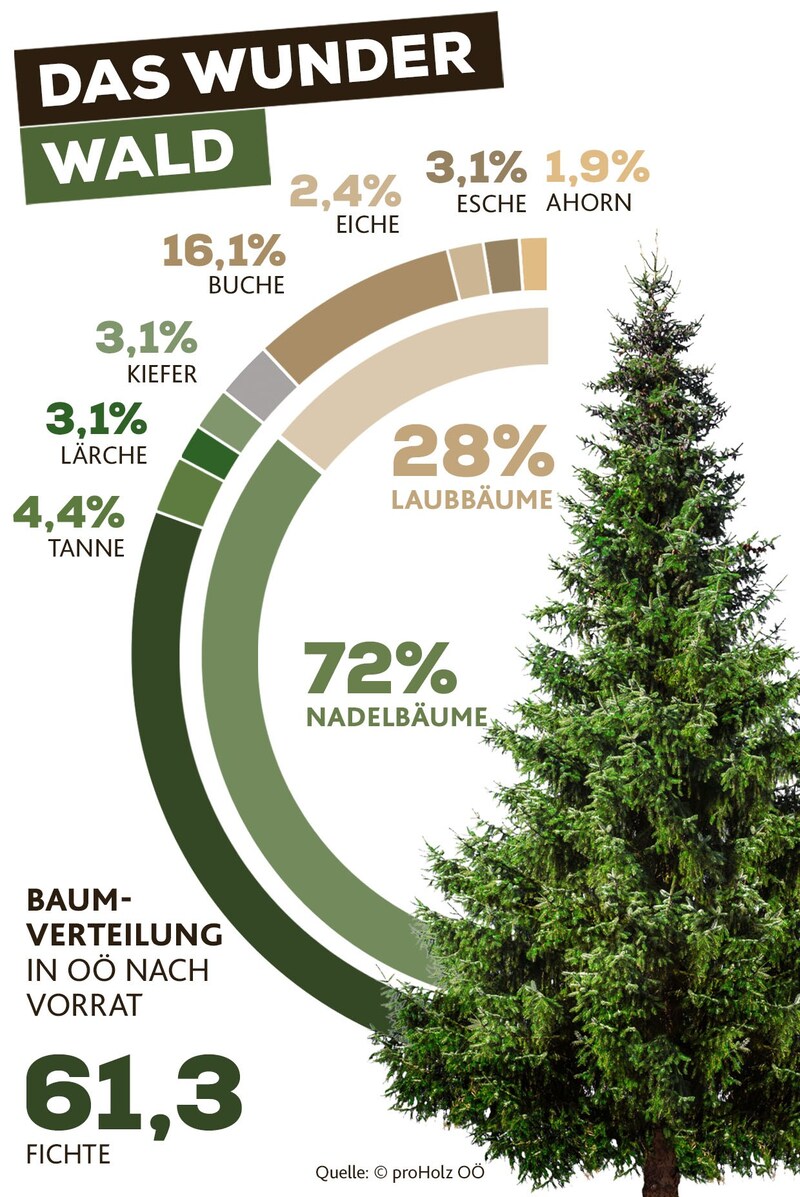 (Bild: Krone KREATIV, stock.adobe.com)