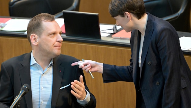 The heads of the Red and Green parties - Kucher and Maurer (Bild: APA/ROLAND SCHLAGER)