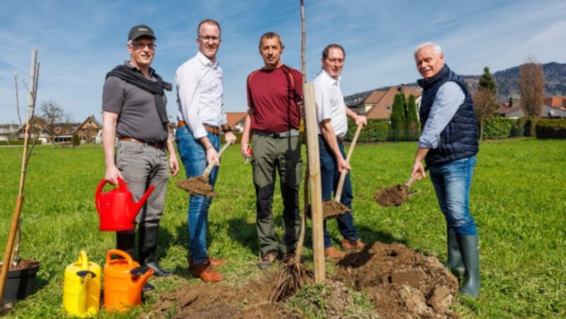 Landesrat Gantner und Kammer-Präsident Moosgrugger griffen selbst zur Schaufel. (Bild: Land Vorarlberg)