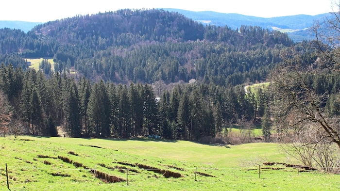 Risse, die Stufen bilden, am Hang bei der Familie von Jörg Lettner auf dem Magdalensberg bei ...
