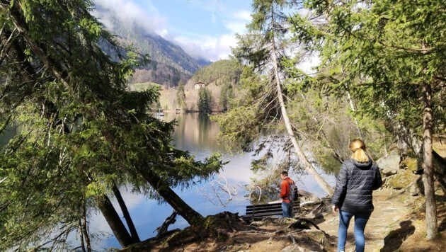 A path or footpath leads around Lake Piburger See. (Bild: Peter Freiberger)