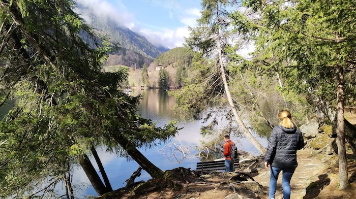 A path or footpath leads around Lake Piburger See.