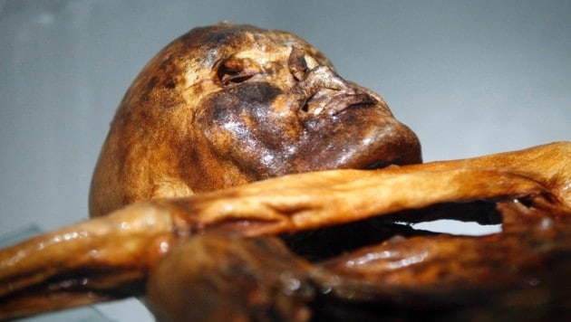 It is probably one of the best-researched human bodies in the world - and the most famous mummy in Europe: Ötzi. (Bild: ANDREA SOLERO / AFP / picturedesk.com)