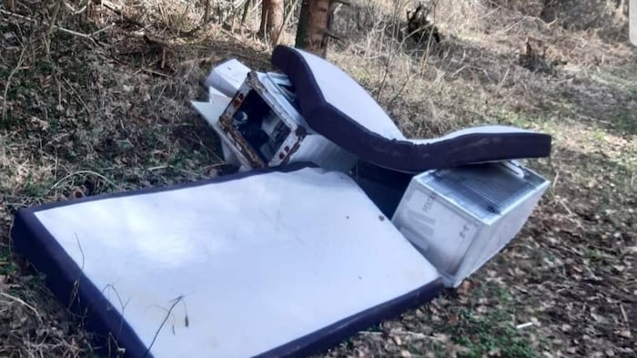 Alte Elektrogerät wurden einfach im Wald entsorgt.