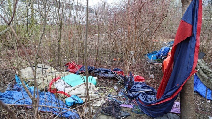 Decken, Planen und allerhand Unrat im Gebüsch.