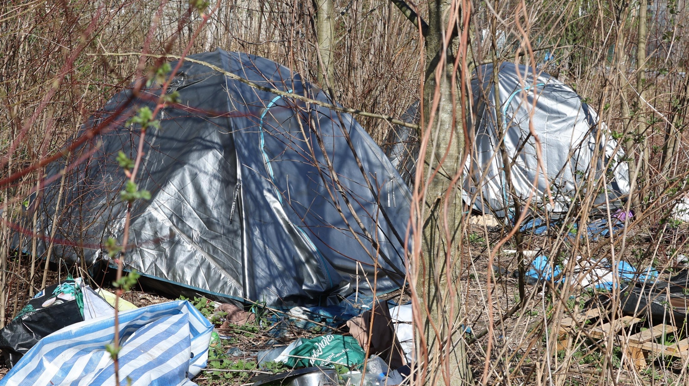 Mühlau-Arzl sanayi bölgesindeki çalılıklarda çadırlar. (Bild: Birbaumer Johanna)