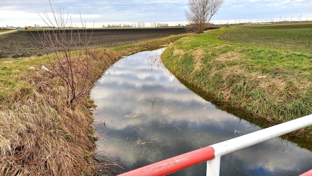 Wasserrückhalt in einem Entwässerungsgraben (Bild: Büro LR Dorner)