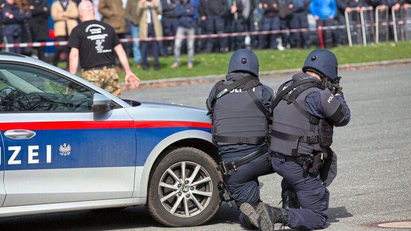 Eine bewaffnete Person läuft Amok und muss überwältigt werden. (Bild: Polizei Kärnten)