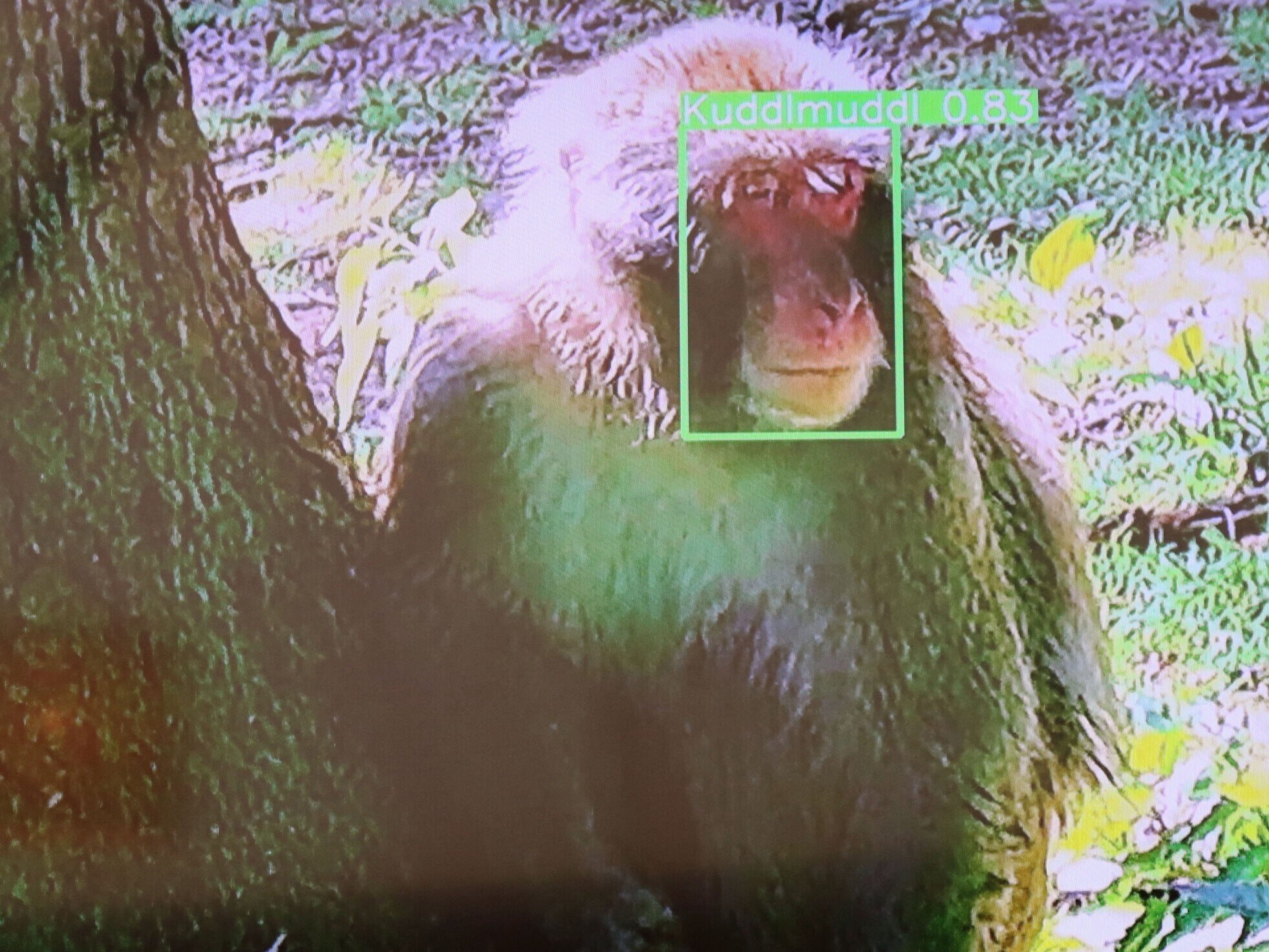 A facial recognition APP has been under development for a year. (Bild: Claudia Fischer)