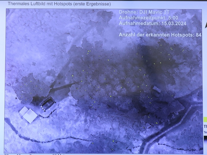 Das thermale Luftbild zeigt schlafende Makaken in den Bäumen.