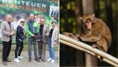 Es bleibt spannend am berühmten Affenberg Landskron. (Bild: Claudia Fischer/Evelyn Hronek)