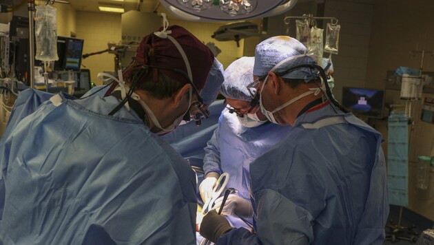 ABD'deki doktorlar dünyada ilk kez bir domuz böbreğini bir hastaya nakletti. (Bild: AFP)