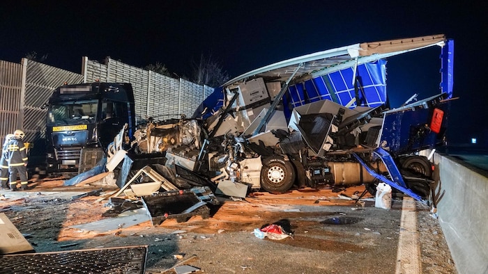 Der Lenker des Fahrzeugs hatte den Unfall nicht überlebt.