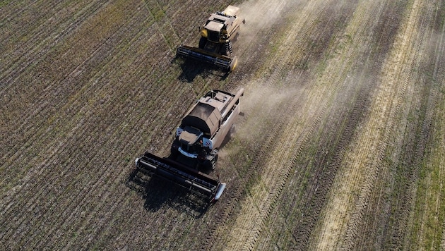 AB'de, savaşın başlamasından bu yana Rusya'dan önemli ölçüde daha fazla tahıl ithal edildi. (Bild: AFP)